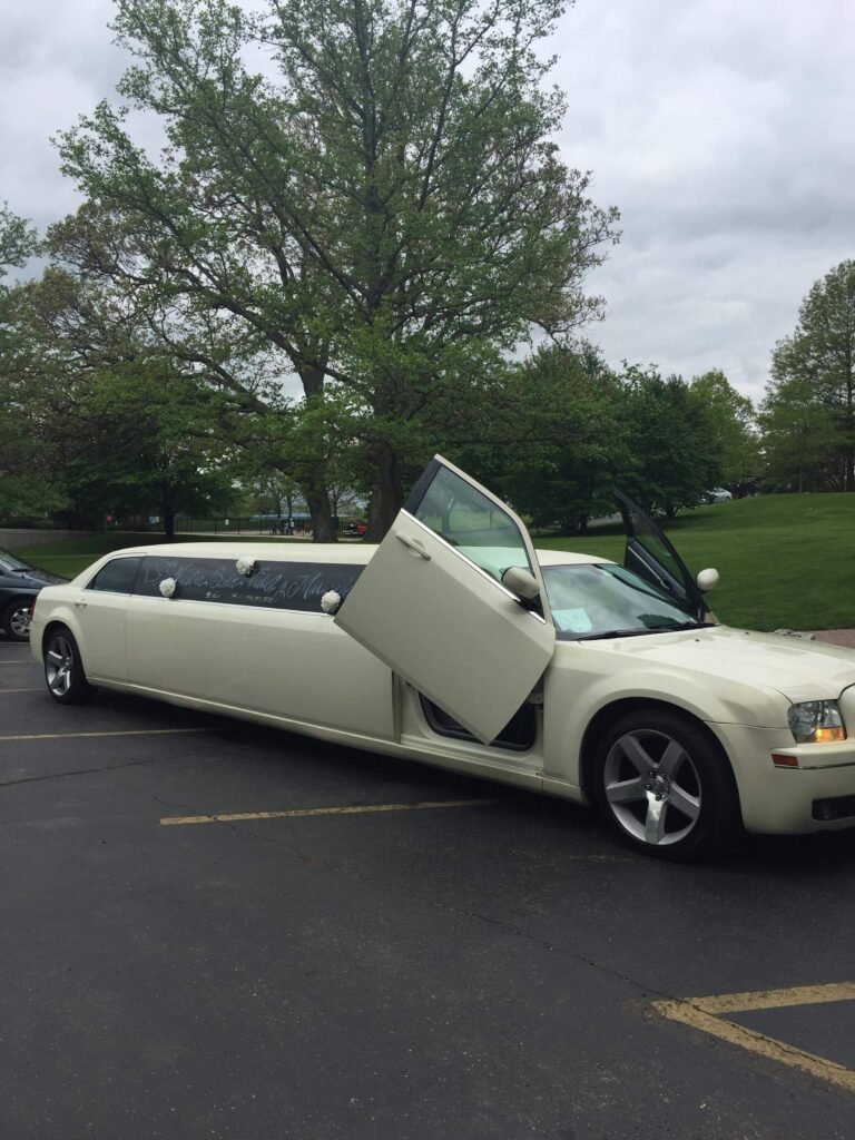 10 passenger stretch limo in Kenosha